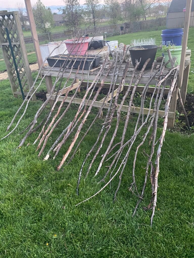 A backyard garden project consisting of a group of long sticks organized in a row, leaning on a table.