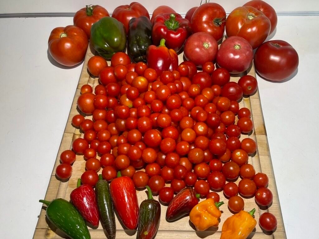 BH garden consulting services can increase yields for bountiful harvests.