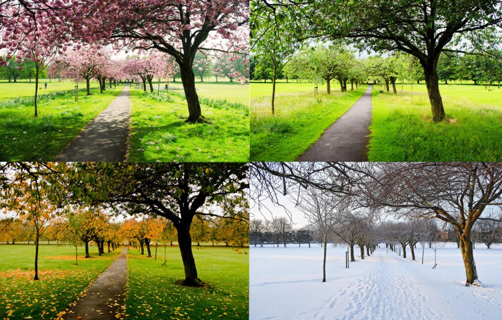 the-four-seasons A picture of the same same location throughout four seasons.
