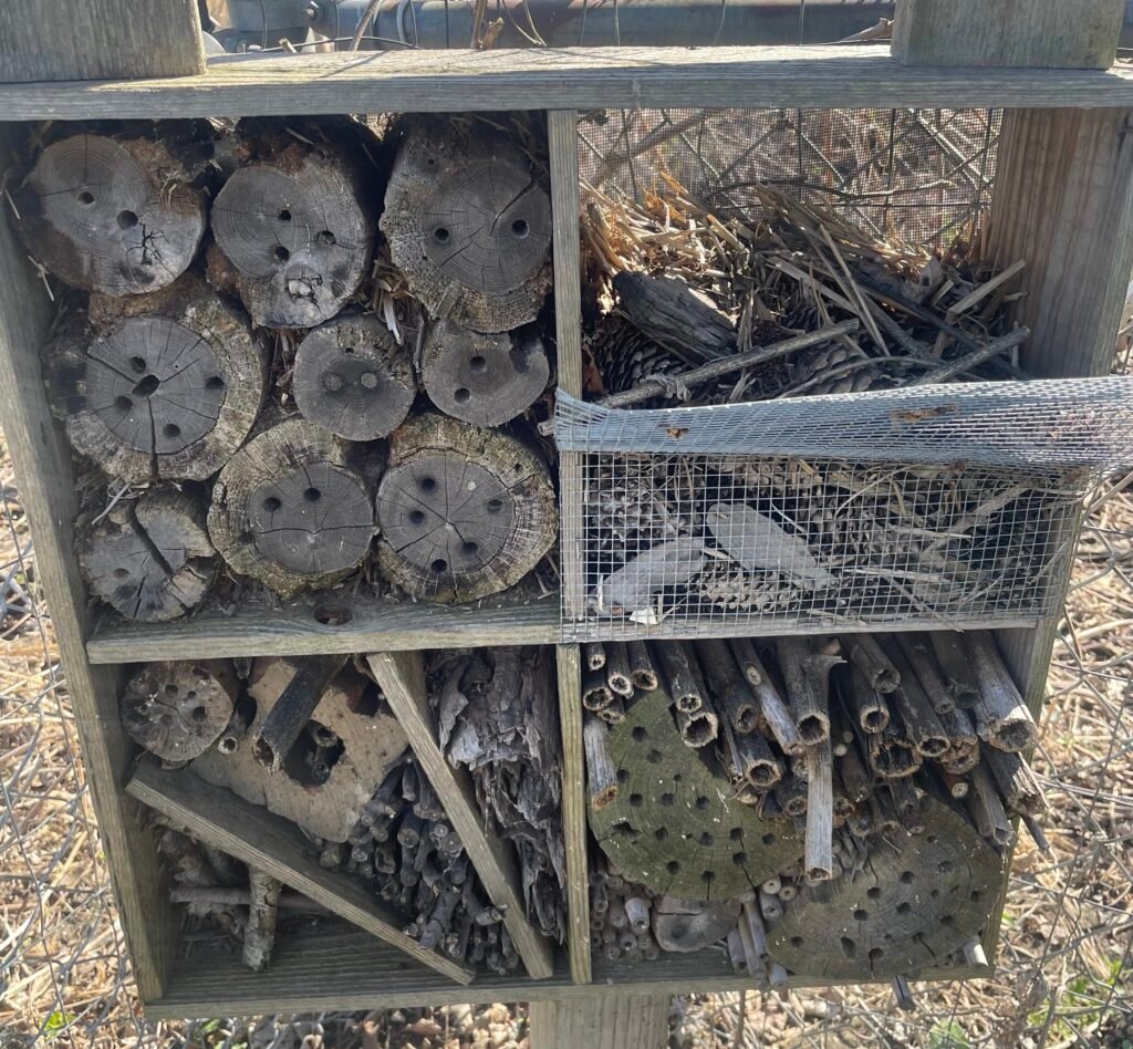 Bee-hotel Bee hotel for mason bees. Pieces of bamboo and wood with holes for the bees to live.