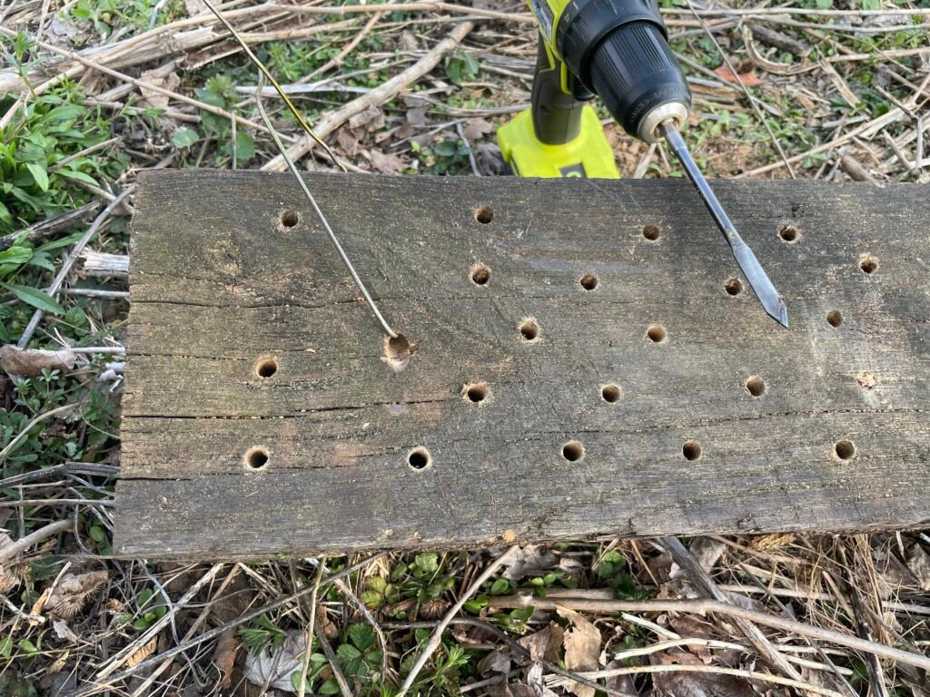 Holes drilled in a piece of wood for mason bees.