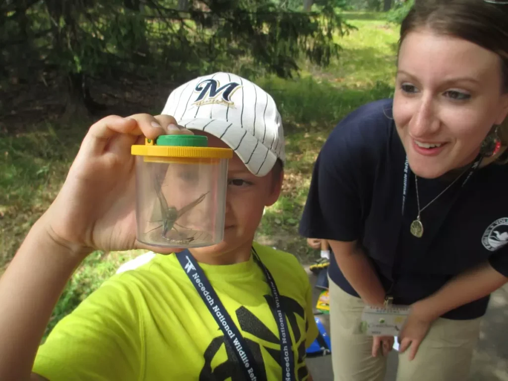 camper-inspects-a-dragonfly-he-caught-before-sketching -it-in-nature-notebook-Necedah-nwr-USFWS.jpg Child enjoying a dragonfly in a container.