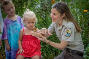 A young child staring at a butterfly on her arm.