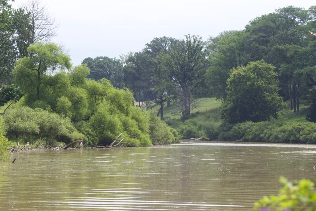 The Maumee river twisting through Perrysburg, Ohio.