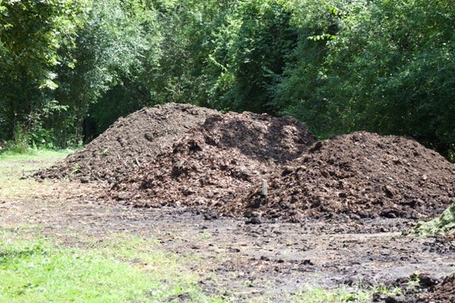 A large compost pile.