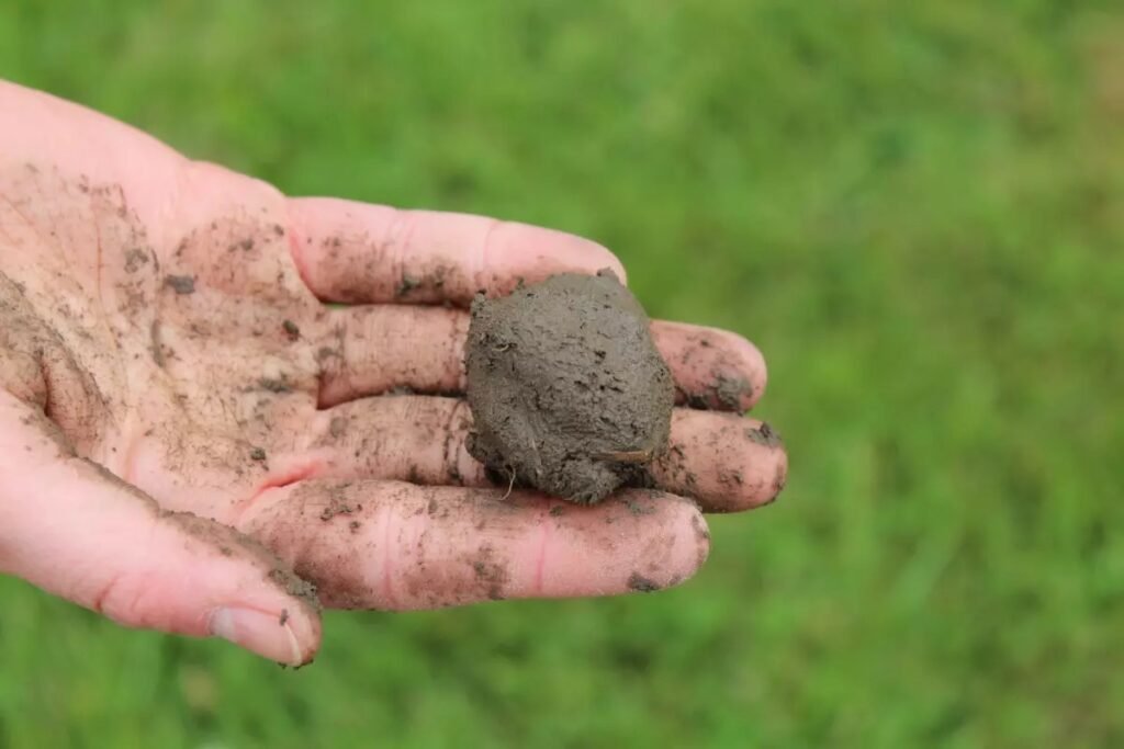 A ball of clay soil in a hand.