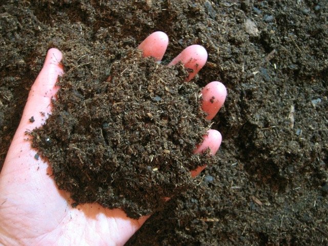A hand full of healthy soil.