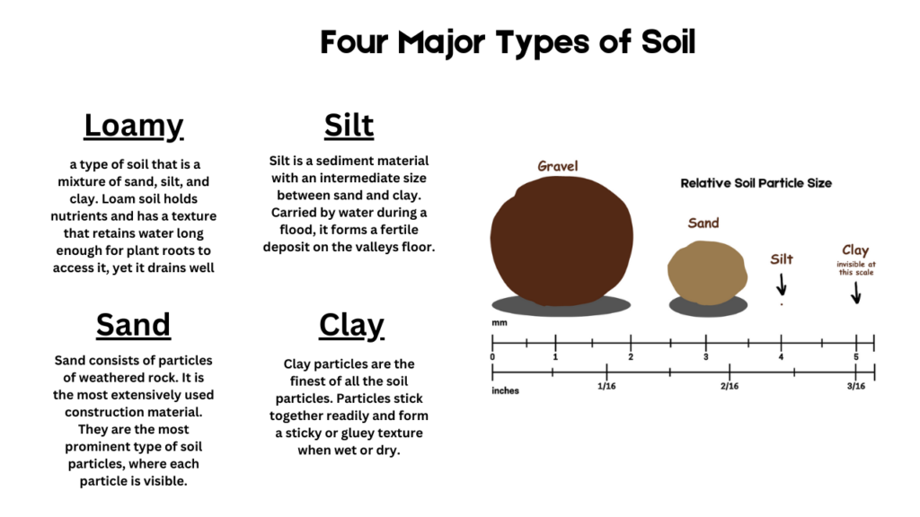 Image showing and describing different soil types, with soil comparison by size.