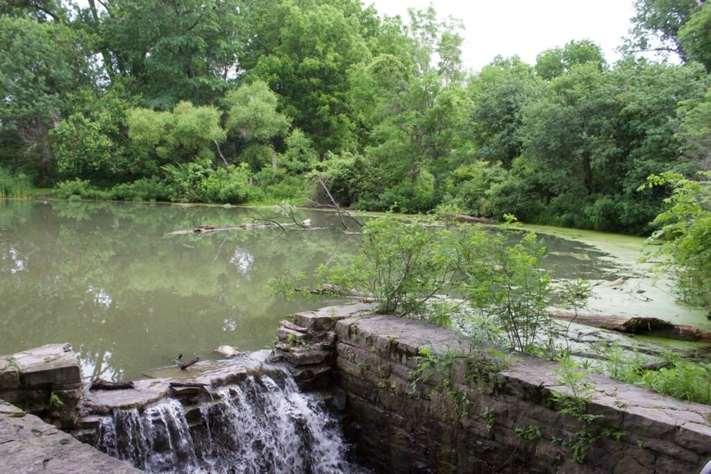 duck pond side cut metropark Small creek flowing from a duck pond into the Maumee River surrounded by dense vegetation and woodland.