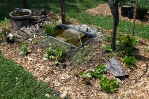 Small backyard pond surrounded by a brush pile and underground wildlife hideouts.