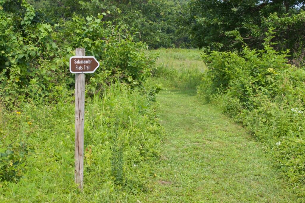 Salamander Flats Trail sign pointing back toward the restored wetland at Kitty Todd Nature Preserve.