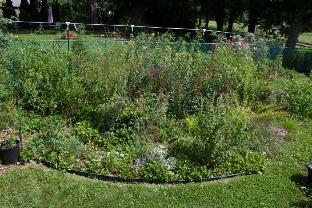 zone 6 view 2 Elevated view across the Zone 6 native garden showing different heights and densities of vegetation within one planting.
