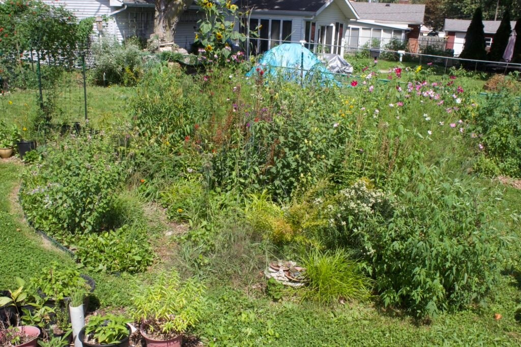 zone 6 view 3 Native habitat garden integrated into a residential backyard with lawn, house and other garden areas surrounding it.