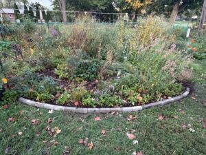 Autumn habitat garden with flowering perennials, changing foliage, fallen leaves, ornamental stone edging, and dense plant growth.