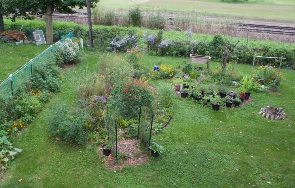 Backyard habitat garden with flowering plants, garden beds, lawn pathways, and trees providing a variety of growing conditions.