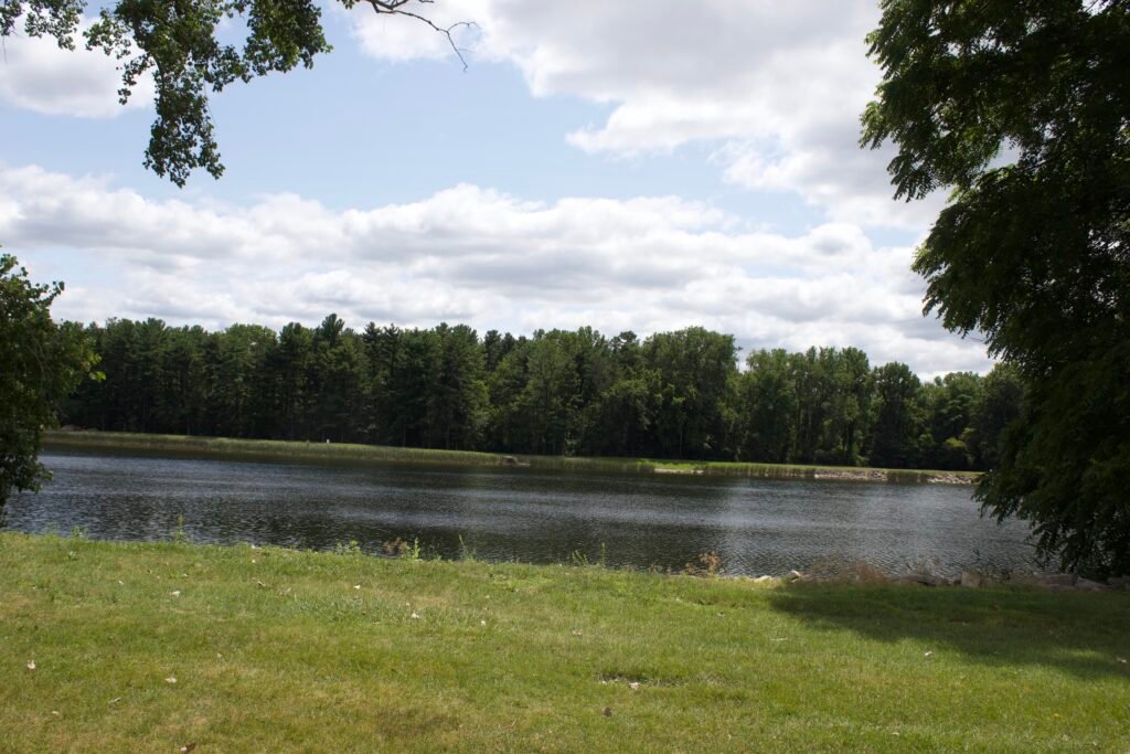 Swanton Reservoir surrounded by mature green woodland, with open grass along the shoreline and clouds overhead.