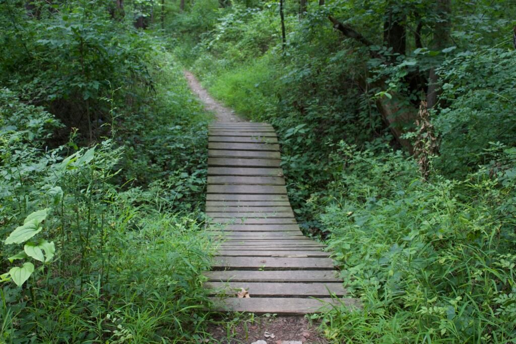 Narrow wooden mountain bike bridge dipping and rising along a dirt trail surrounded by dense green woodland vegetation.